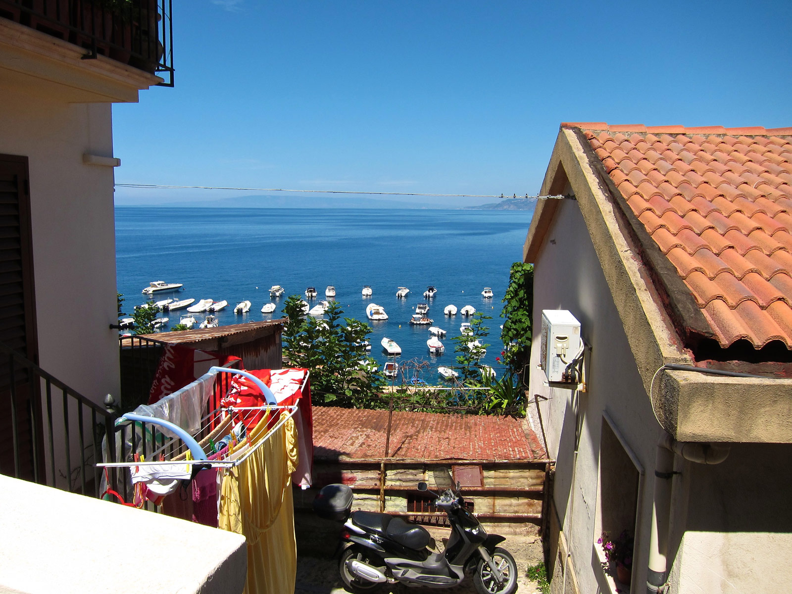 Scilla